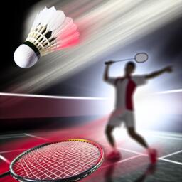 Triomphe des Badistes Annonéens : Les Plumes d'Ardèche-Nord Brillent au Tournoi de Montbrison